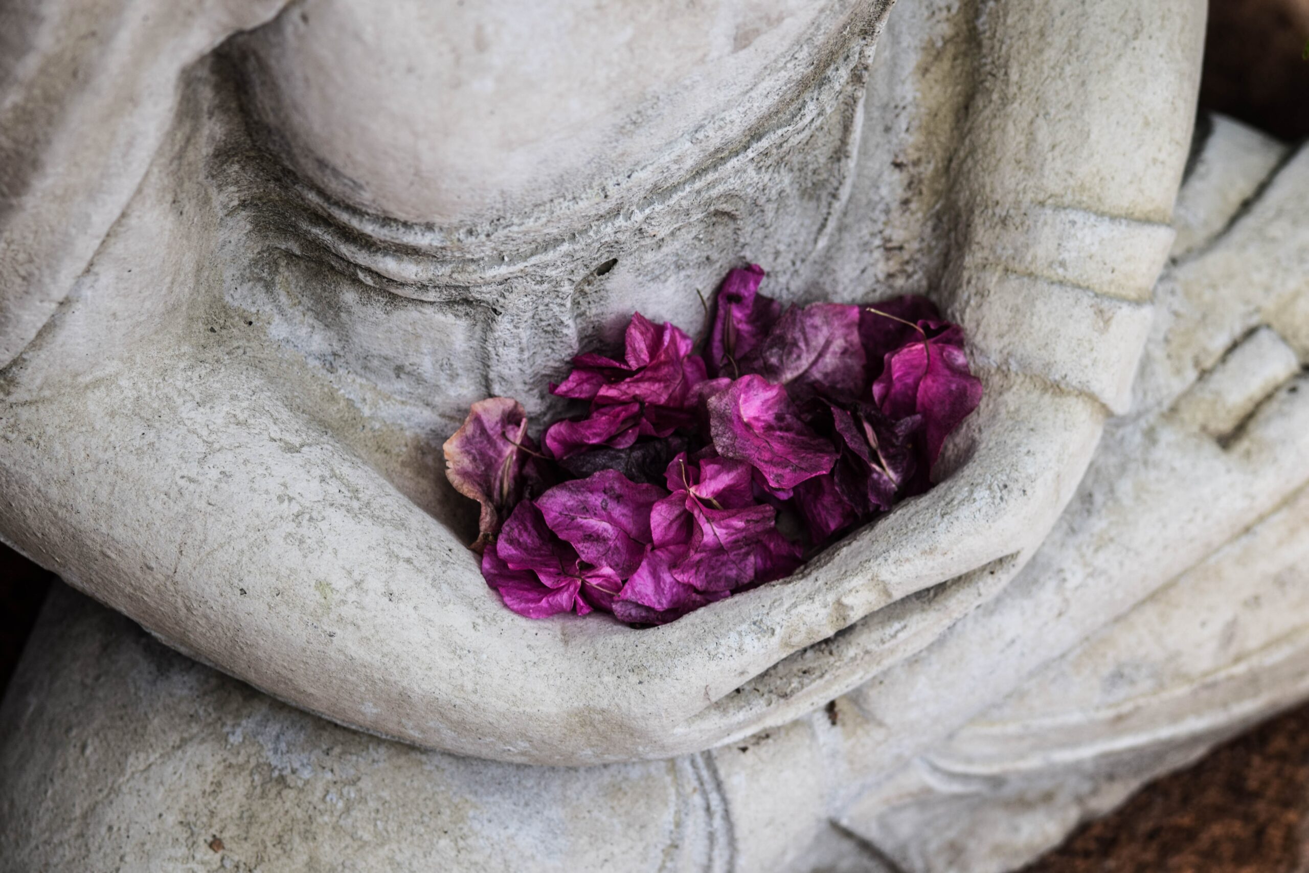 Qué es la meditación zen